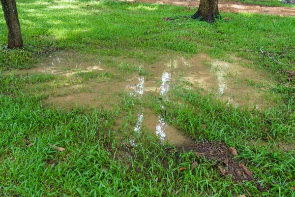 Storm Water Drainage Service in Sylvania