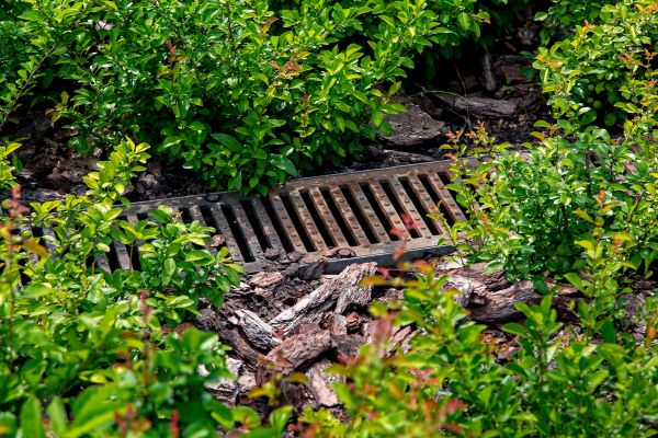 Underground Drainage Service in Sylvania