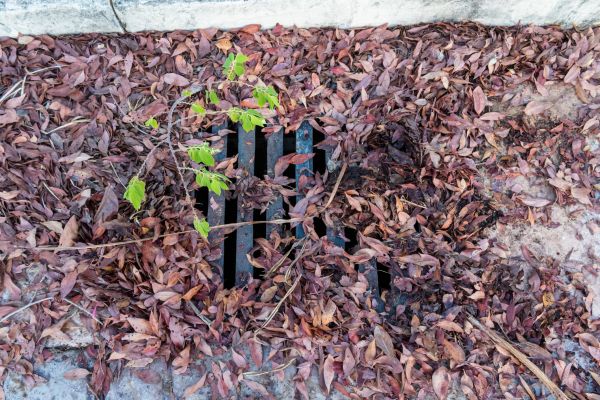 Yard Drain Unclogging in Sylvania
