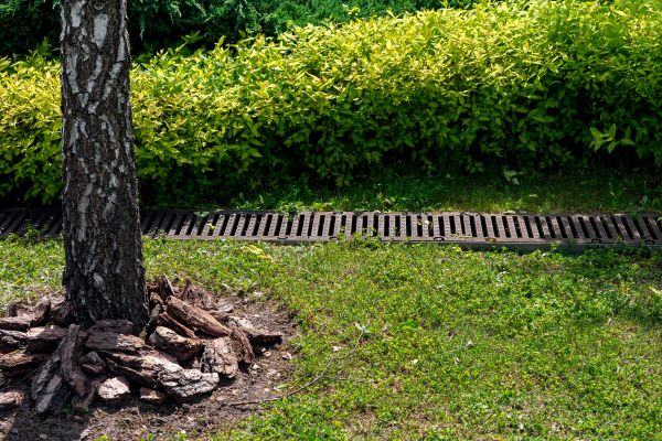Garden Drainage Installation in Sylvania