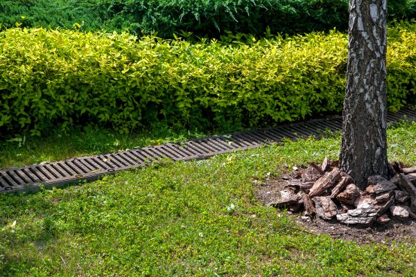Residential Landscape Drainage in Sylvania