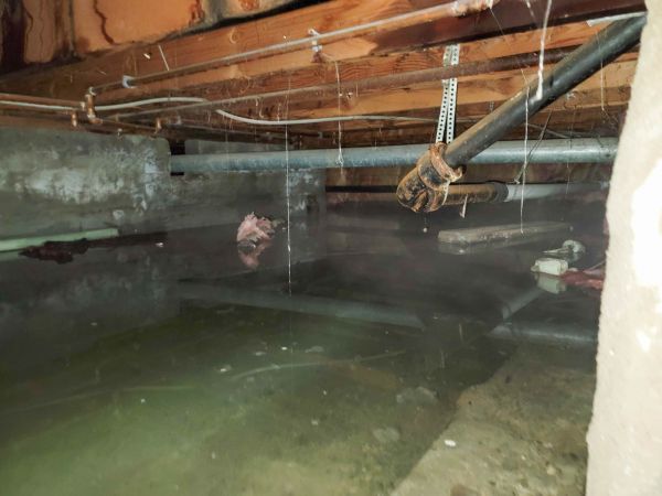 Cost of Crawlspace Drainage in Sylvania